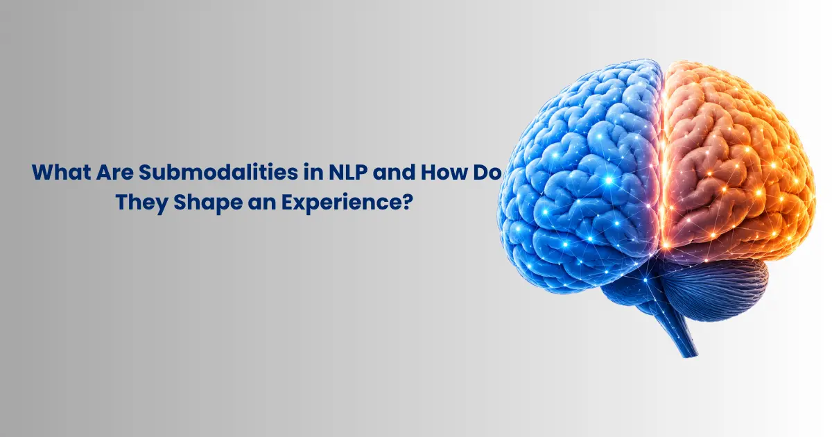 NLP Submodalities